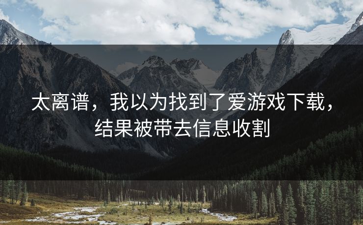 太离谱，我以为找到了爱游戏下载，结果被带去信息收割